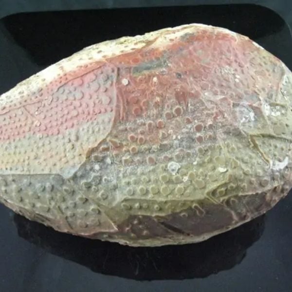 Antique Bumi Pearl - Type E1 - Image 5