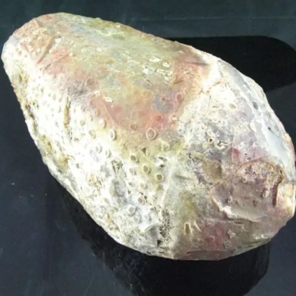 Antique Bumi Pearl - Type E1 - Image 2