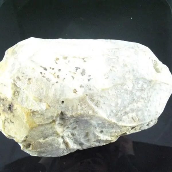 Antique Bumi Pearl - Type E2 - Image 5