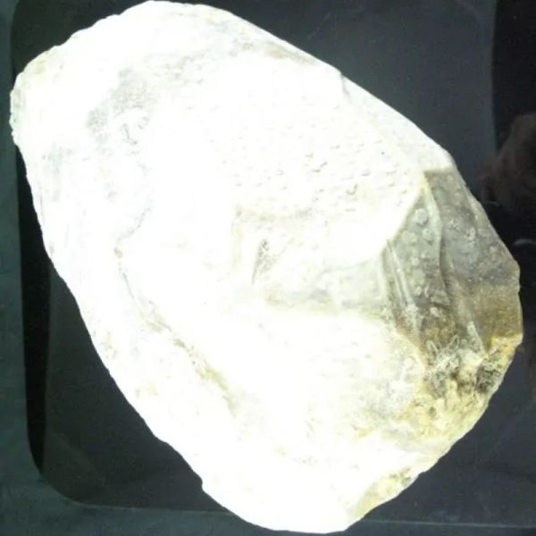 Antique Bumi Pearl - Type E2 - Image 3