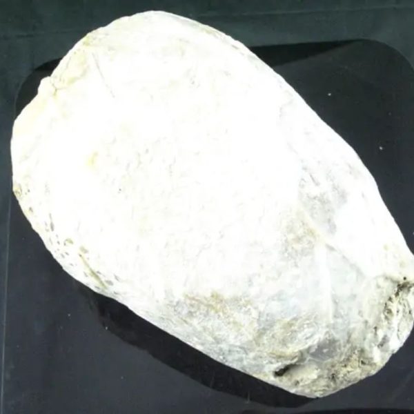 Antique Bumi Pearl - Type E2 - Image 2