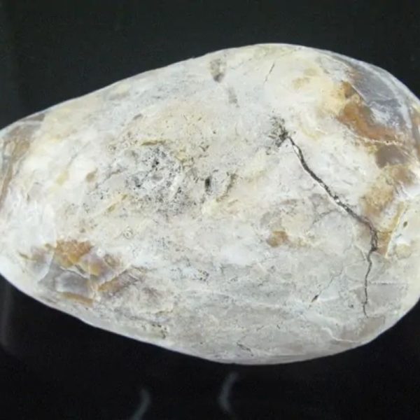 Large Earth Bumi Pearl - Type D1 - Image 5