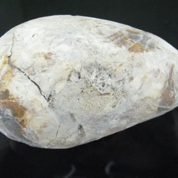 Large Earth Bumi Pearl - Type D1 - Image 4