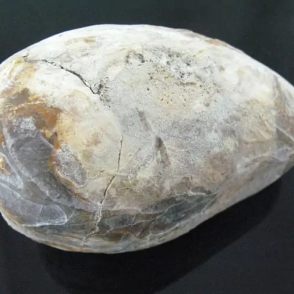 Large Earth Bumi Pearl - Type D1 - Image 3