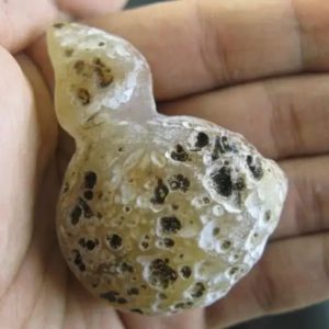 Fossilized Bile