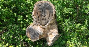 Animal Totem