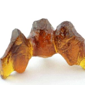 Fossilized Bat