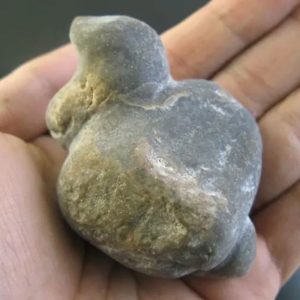 Fossilized Star Oil Pearls