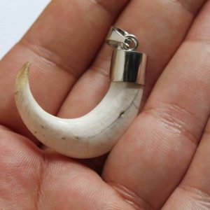 Orang Utan Claw