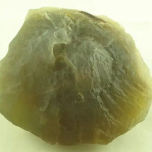 Fossilized Mushroom