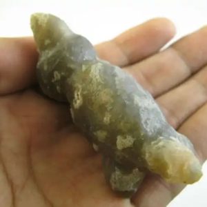 Fossilized Mouse
