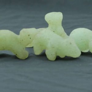 Fossilized Sea Otter
