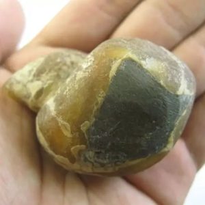 Fossilized/Relics