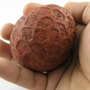 Fire Dragon Ovals