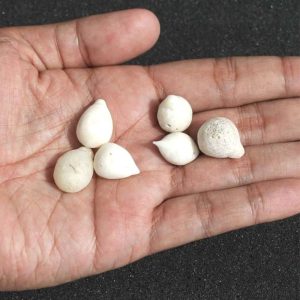 Coconut Pearls