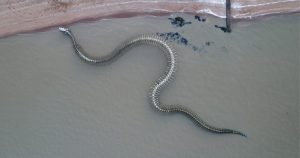  Sea Serpent Totem