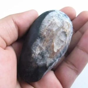 Menang Wood Pearls