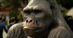 Orangutan 