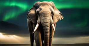 Elephant Totem